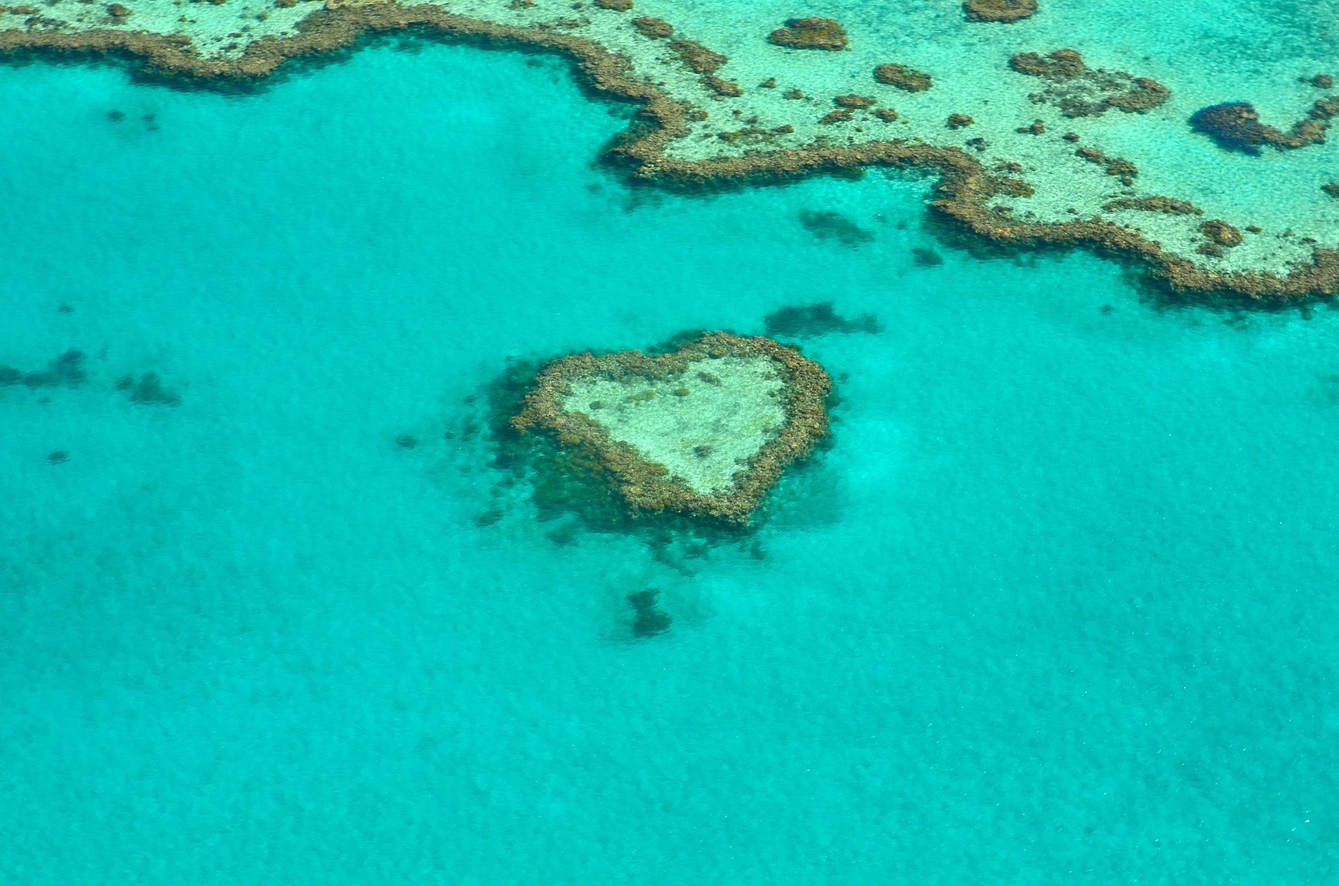 Heart reef in Great Barrier Reef